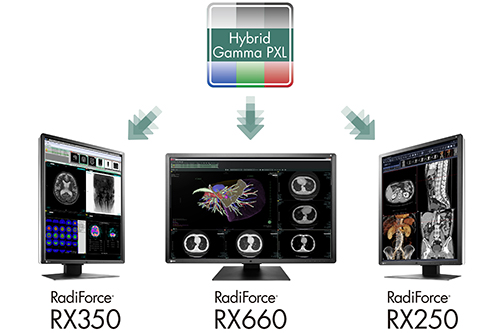 RadiForce_RX660RX350RX250_HybridGammaPXL_Press_s.jpg