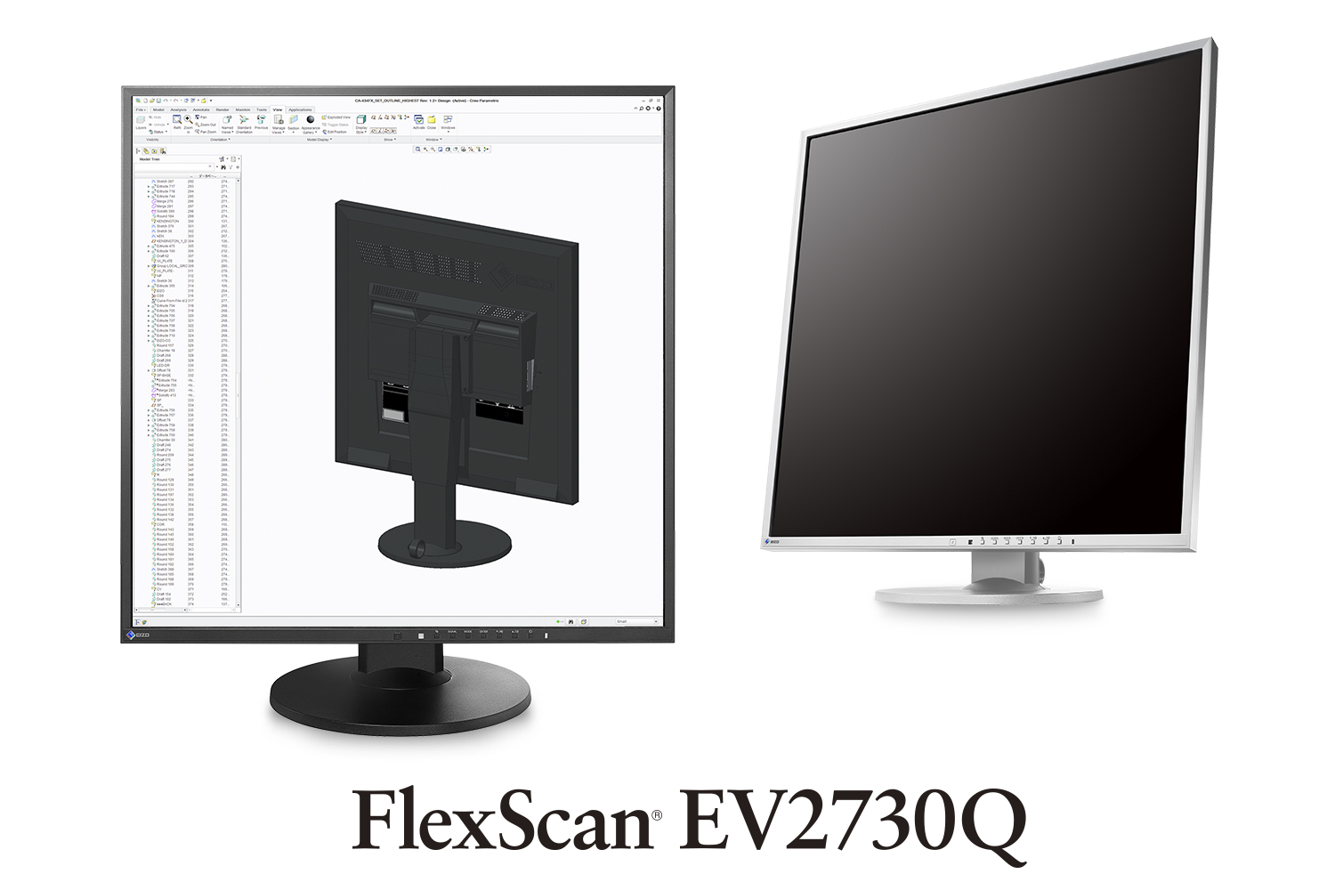 EIZO FlexScan Monitor LCD a color de 21 pulgadas Dominican