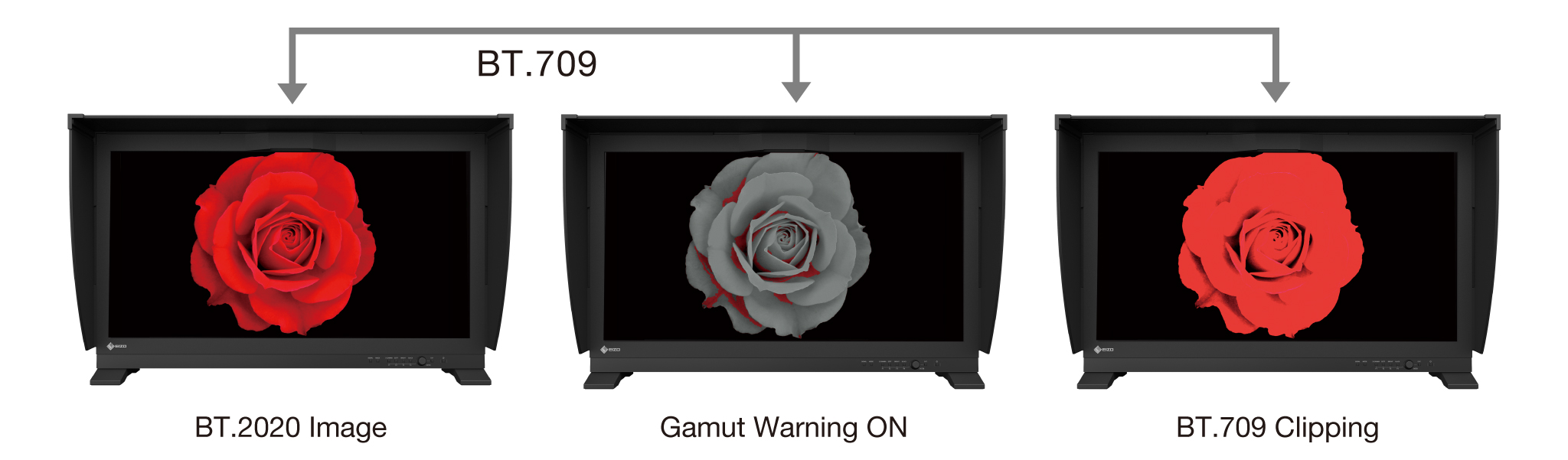 BT.709 Out of Gamut Warning