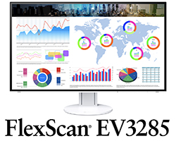 FlexScan EV3895