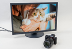 Adorable Kitties on an EIZO ColorEdge