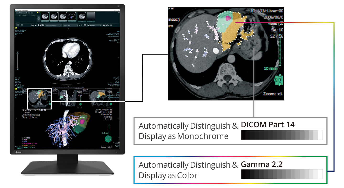 Hybrid Displaay of Monochrome and Color