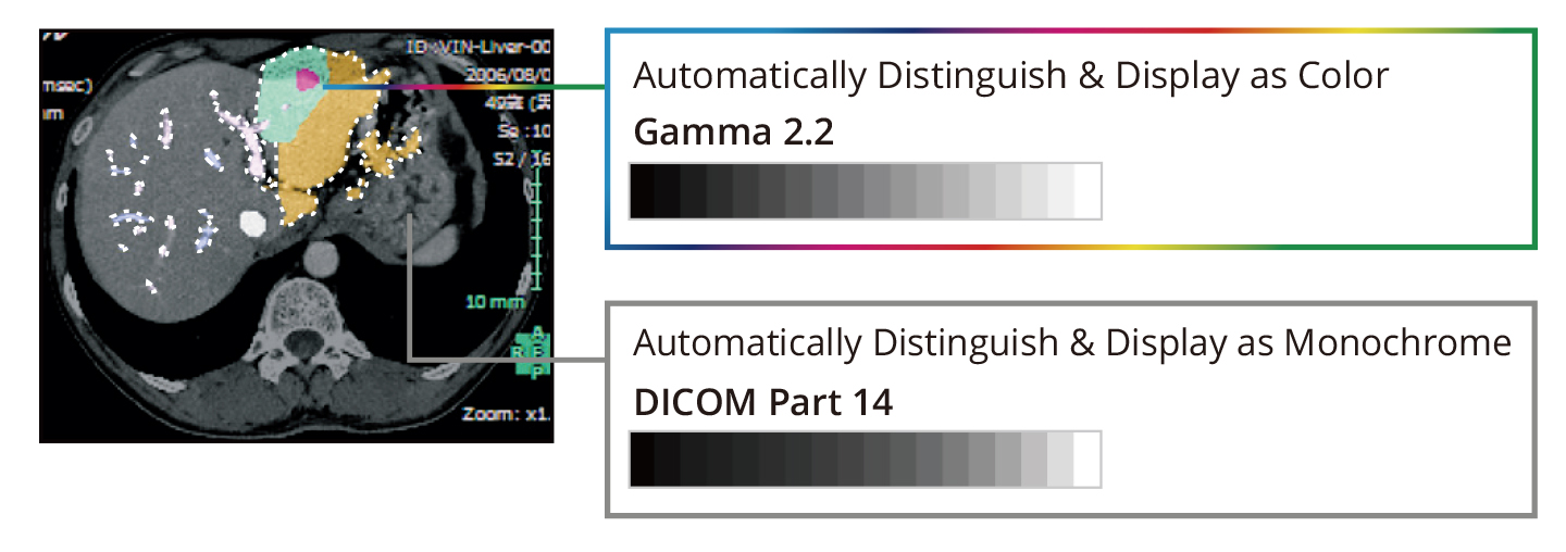 Hybrid Display of Monochrome and Color