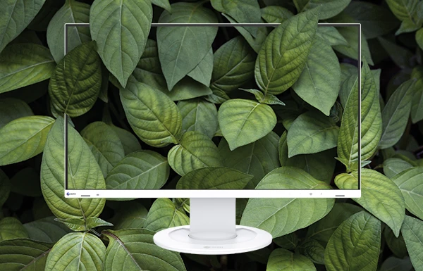 Low Environmental Impact Materials