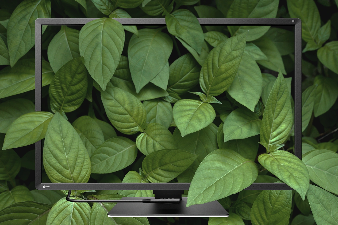 Product Sustainability