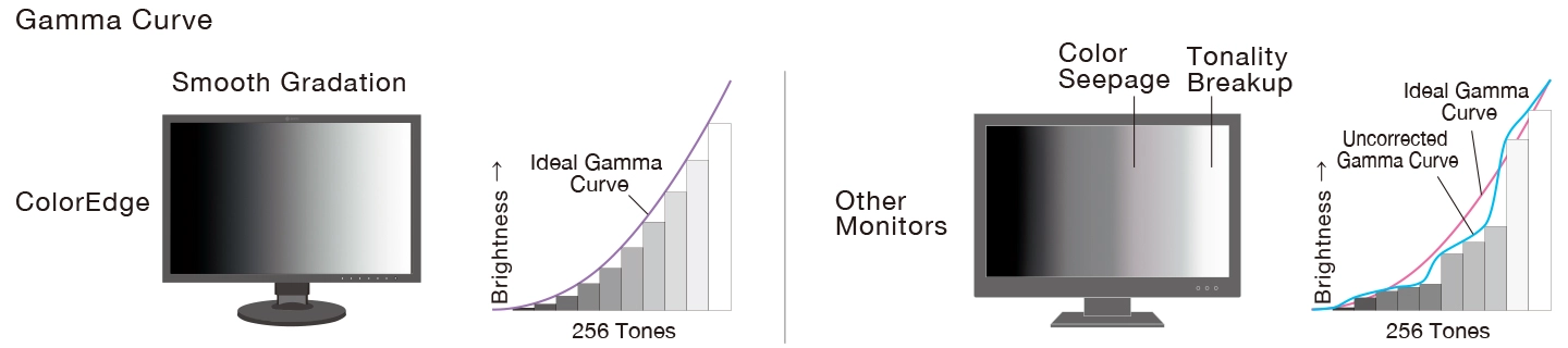 Gamma Curve