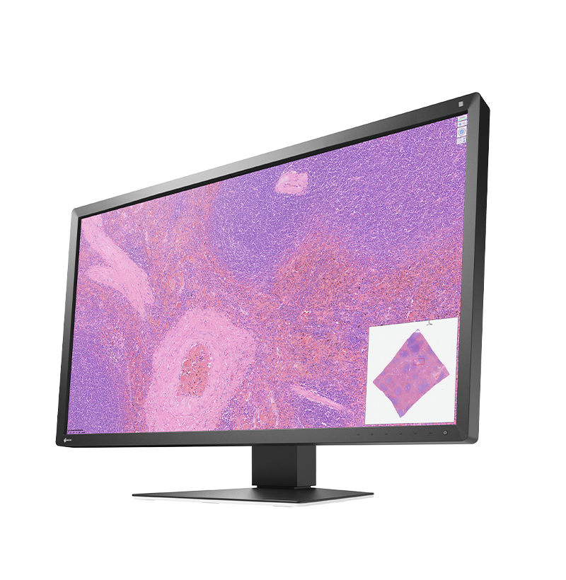 ProductPhoto2