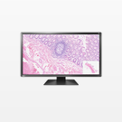 Pathology
