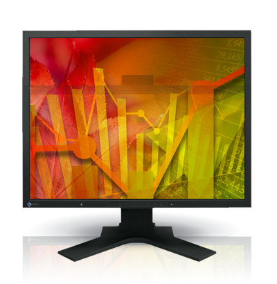 FlexScan S2133-BK